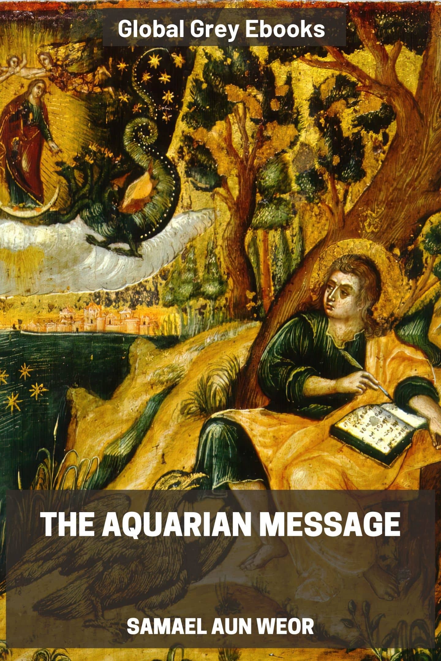 Cover of The Aquarian Message